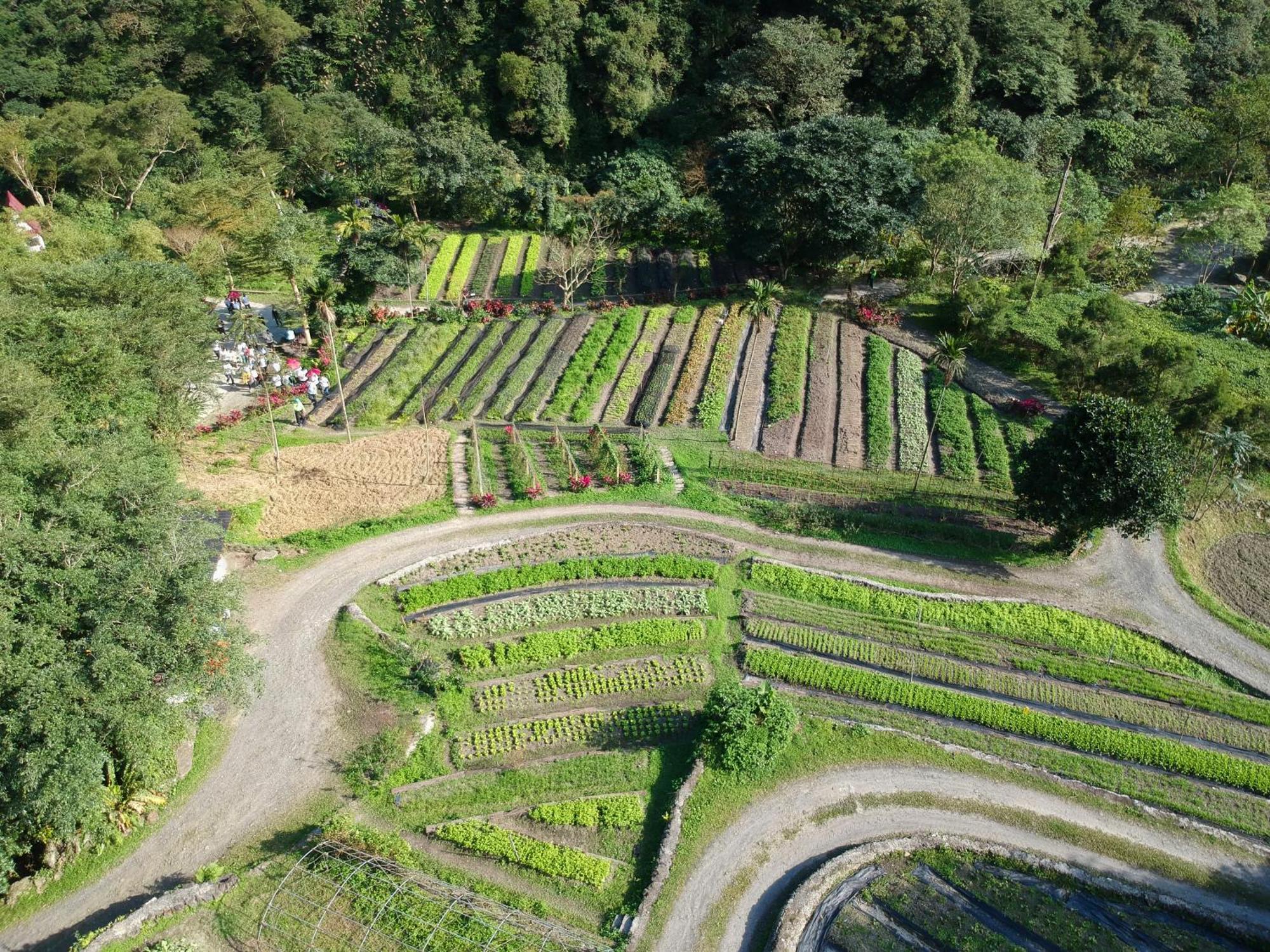 Tou-Cheng Leisure Farm Hotel Toucheng Dış mekan fotoğraf