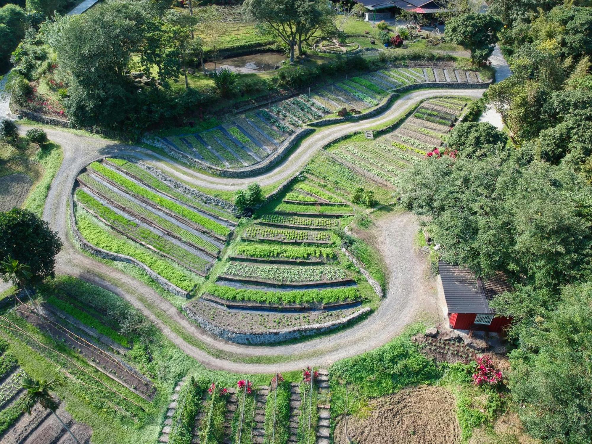 Tou-Cheng Leisure Farm Hotel Toucheng Dış mekan fotoğraf