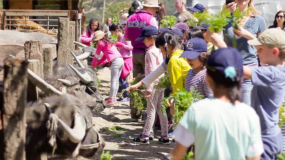 Tou-Cheng Leisure Farm Hotel Toucheng Dış mekan fotoğraf