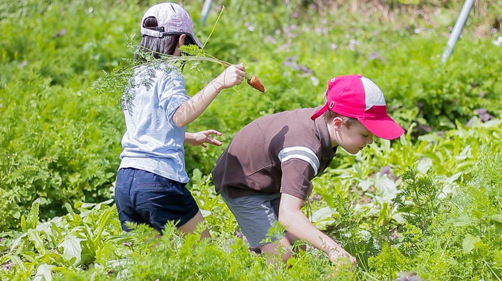 Tou-Cheng Leisure Farm Hotel Toucheng Dış mekan fotoğraf