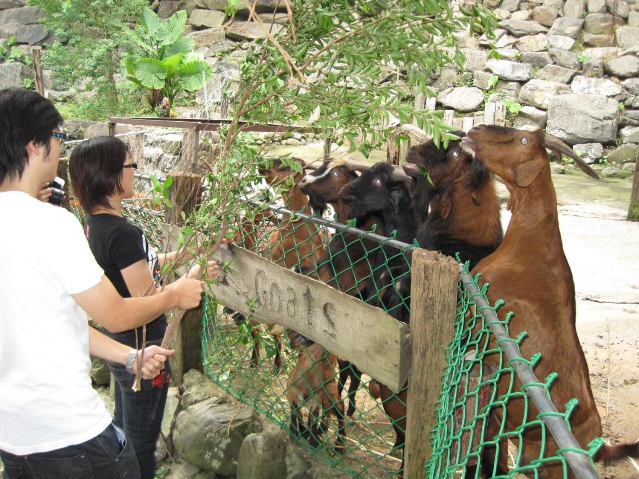 Tou-Cheng Leisure Farm Hotel Toucheng Dış mekan fotoğraf