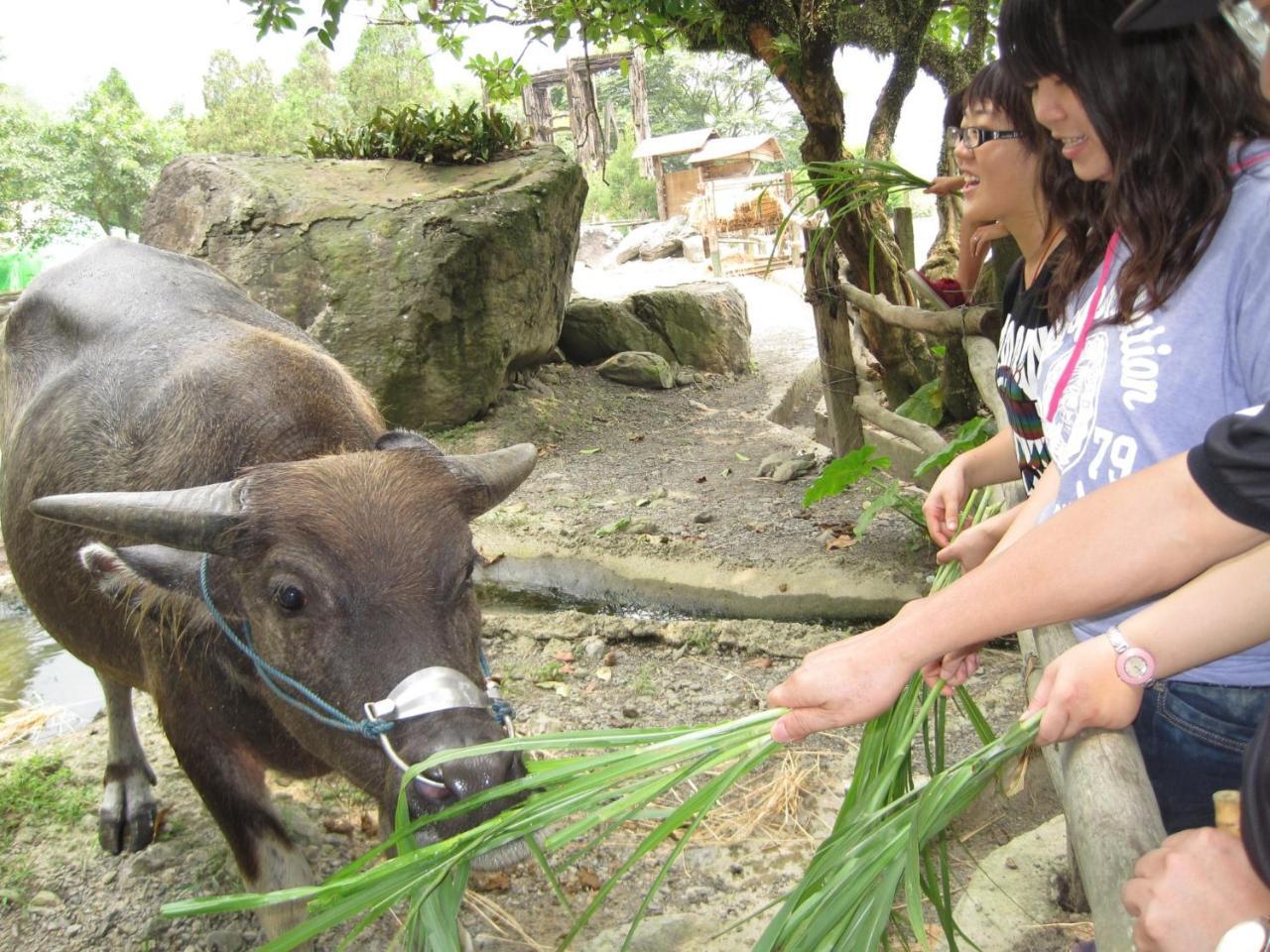 Tou-Cheng Leisure Farm Hotel Toucheng Dış mekan fotoğraf